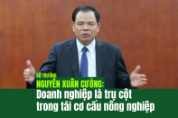 [Longform] Bộ trưởng Nguyễn Xuân Cường: Doanh nghiệp là trụ cột trong tái cơ cấu nông nghiệp