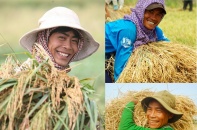Kỳ tích “hạt vàng” Việt Nam