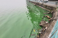 Hà Nội: Khẩn trương cải thiện chất lượng môi trường nước hồ Tây