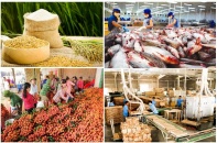 8 tháng năm 2021: Xuất khẩu nông lâm thủy sản đạt trên 32 tỷ USD