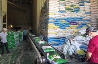 Pacific Foods “chốt sổ” năm 2021 với lô 20 tấn gạo ST25 sang Canada