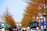 [Ảnh] Một thoáng châu Âu giữa lòng Hà Nội