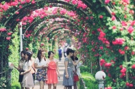 Lên đỉnh Fansipan mùa tháng 4 để ngắm ngàn hoa khoe sắc