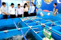 Khai trương chuỗi thủy sản an toàn Chợ Cá Việt