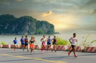 Dự kiến hơn 10.000 người tham gia Giải chạy Oneway Cát Bà 2022