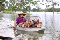 Hà Nội tăng cường phòng, chống dịch bệnh mùa bão lũ