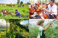 Hà Nội: “Lợi ích kép” từ phát triển kinh tế trang trại liên kết