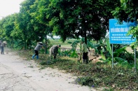 Hà Nội có 534 mô hình nông dân tham gia bảo vệ môi trường