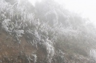 Hà Nội: Chủ động ứng phó rét hại, băng giá và sương muối 