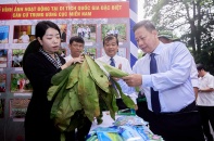 “Hương sắc Tây Ninh” ngập tràn tại phố đi bộ Hồ Gươm, Hà Nội