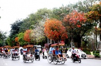 Hà Nội đón 9,25 triệu lượt du khách trong 4 tháng đầu năm 2024