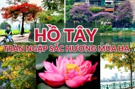 [Ảnh] Hồ Tây tràn ngập sắc hương mùa hạ    