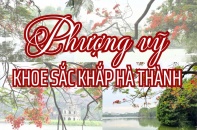 [Ảnh] Phượng vỹ khoe sắc khắp Hà thành