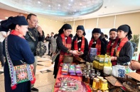 Tháng 4, đến Thái Nguyên trải nghiệm xứ Trà đậm đà bản sắc