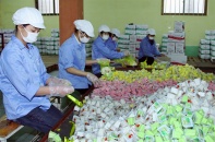 Tăng cường kiểm soát an toàn thực phẩm tại các làng nghề sản xuất bánh, kẹo