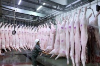 Hà Nội ra chỉ thị tăng cường quản lý, kiểm soát giết mổ động vật