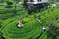 Tiến Yên Farmstay - Điểm du lịch cộng đồng kiểu mẫu của Thái Nguyên