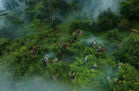 Từ “làm nông” sang “làm du lịch”: Bước ngoặt trong tư duy phát triển nông thôn mới