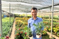 Nông dân Phúc Thọ biến khu vườn nhà thành điểm đến du lịch nông thôn