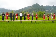 Du lịch nông thôn trong kỷ nguyên mới: Động lực xanh cho phát triển bền vững