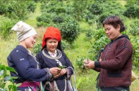 Trao quyền cho các chủ doanh nghiệp nhỏ do phụ nữ làm chủ trong thời kỳ biến động