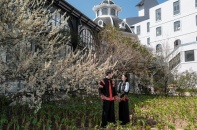 [Ảnh] Cây mận cổ thụ trắng muốt đẹp như trong phim tại Sun World Fansipan Legend