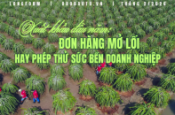 [Longform] Xuất khẩu đầu năm: Đơn hàng mở lối hay phép thử sức bền doanh nghiệp