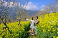 [Ảnh] Fansipan ngợp ngời sắc hoa xuân và rộn ràng lễ hội Mở cổng trời