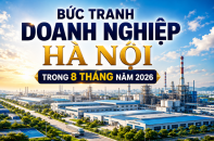 [Infographic] Bức tranh doanh nghiệp Hà Nội trong 8 tháng năm 2026