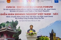 Việt Nam - Séc có tiềm năng hợp tác lớn nhưng chưa được phát huy tương xứng