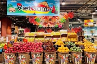 Đẩy mạnh cơ hội hợp tác kinh doanh Việt Nam - Thái Lan