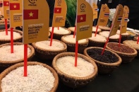 Gạo Việt Nam, Thái Lan hưởng lợi sau lệnh cấm xuất khẩu của Ấn Độ