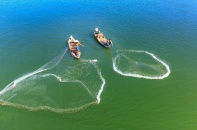 Quyết tâm gỡ dứt điểm “thẻ vàng” IUU cho ngành thủy sản