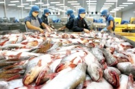 Các lô hàng đang trên đường đến Mỹ không bị áp thuế nhập khẩu bổ sung 10%