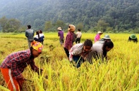 Nhiều kết quả nổi bật từ chương trình giảm nghèo bền vững Nhiều kết quả nổi bật từ chương trình giảm nghèo bền vững