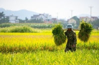 Kiến tạo nền nông nghiệp bền vững từ tiếng nói người nông dân