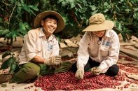 Thị trường xuất khẩu nông sản Việt "xoay trục" về châu Á