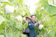 Việt Nam làm chủ nhiều công nghệ sinh học tiên tiến trong nông nghiệp