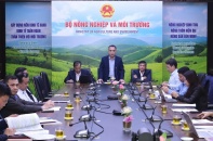 Quy định mới về trồng trọt, bảo vệ thực vật: Tăng phân cấp, giảm thủ tục