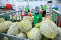 Xuất khẩu nông nghiệp khởi sắc ngay từ đầu năm