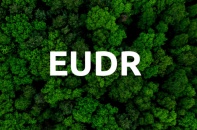 Nới lỏng yêu cầu với lô rừng dưới 4 ha, tạo đà cho gỗ Việt vào EU