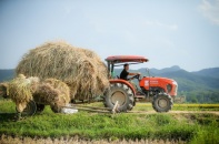 Áp lực logistics gia tăng lên xuất khẩu nông sản