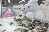 Xuất khẩu thủy sản trước rủi ro từ xung đột Trung Đông