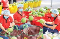 Thách thức từ xung đột Trung Đông, ngành nông nghiệp kêu gọi doanh nghiệp cùng đoàn kết “vượt sóng”