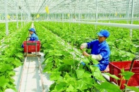 Kết nối kinh tế vườn với không gian phát triển mới