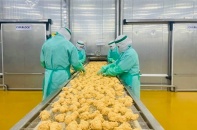 Xuất khẩu sản phẩm động vật có thể tiến vào “câu lạc bộ tỷ USD”