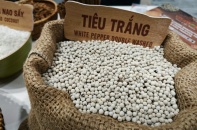 Ứng phó xung đột Trung Đông và cơ hội tái cấu trúc thị trường xuất khẩu nông sản