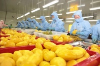 Xuất khẩu nông lâm thủy sản tiếp tục tăng trưởng bất chấp biến động thị trường