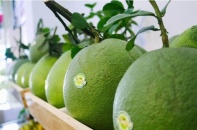 Australia chính thức “cấp visa” cho trái bưởi Việt Nam