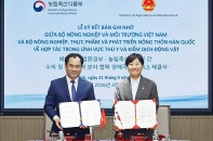 Hàn Quốc mở cửa thị trường cho sản phẩm gà chế biến từ Việt Nam